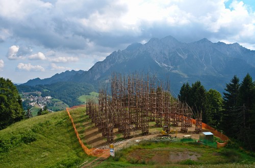 Eight Breathtaking Images of a Cathedral Made of Trees