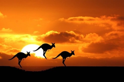 10 Amazing Festivals You Must Visit In Australia
