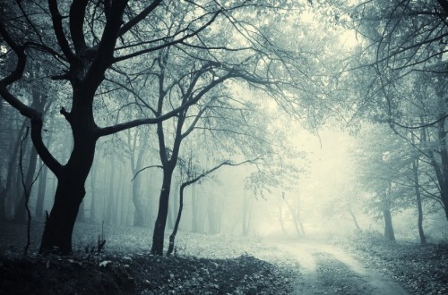 10 Haunted Roads You Don’t Want To Travel On