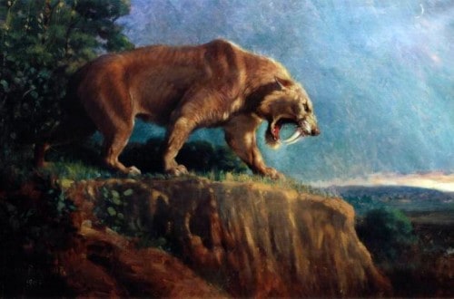 14 Extinct Animals We Could Clone Right Now