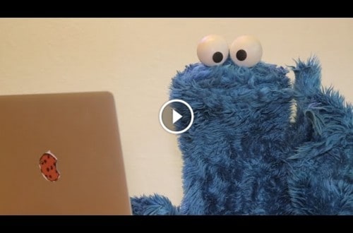Grumpy Cat And Cookie Monster Attempt To Break The Internet