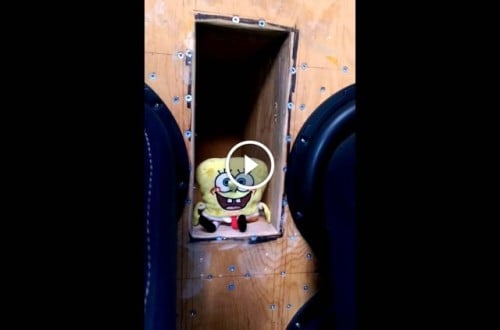 Spongebob Squarepants Shows The World How To Dance