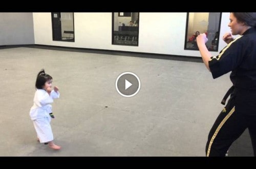This 3 Year Old White Belt Will Blow Your Mind