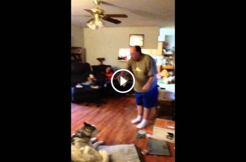 You Won’t Believe What This Dog Does When His Owner Yells At Him