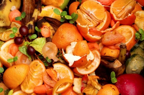 13 Ways To Reduce Food Waste