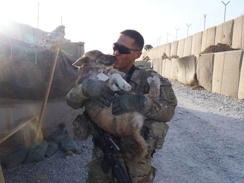 За солдатами ухаживают. Собаки в Чеченской войне. Собаки в иракской войне. Военные с животными. Солдаты спасают животных.
