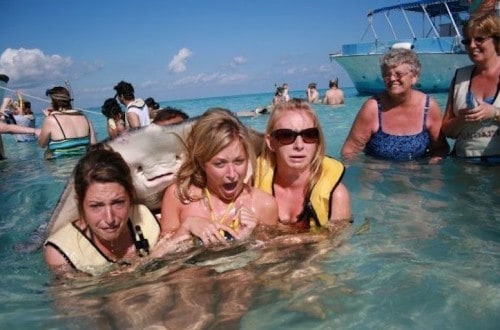 20 Of The Most Perfectly Timed Photos