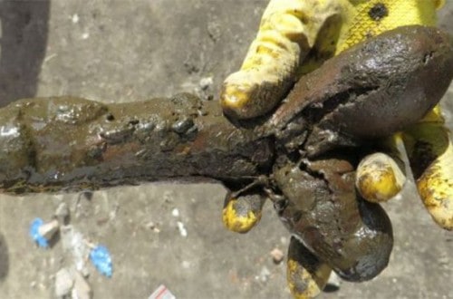 Archaeologists Find 250-Year-Old Sex Toy In Ancient Toilet