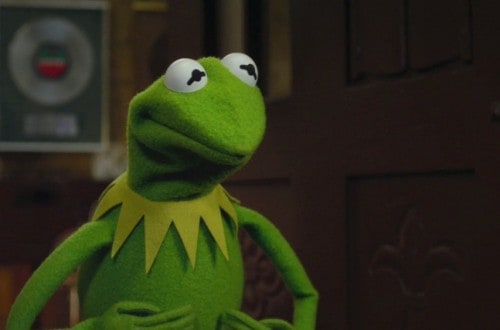 Kermit Faces Competition From Real-Life Double