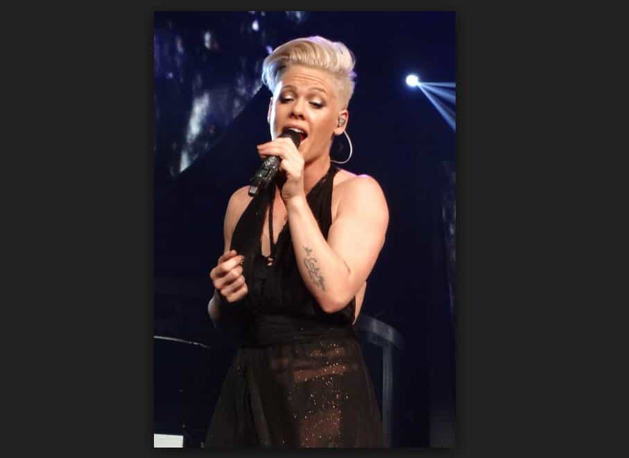 Pink Respond To Twitter Haters About Her Weight – In The Best Way Possible