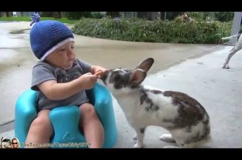 Unbelievable Friendship Between Bunny And Baby