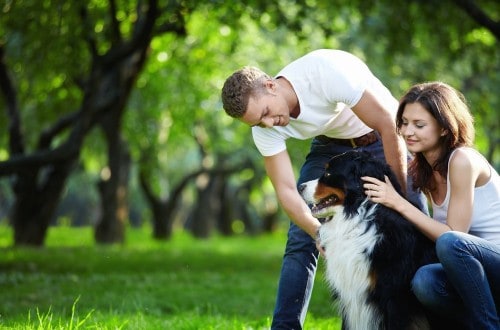 10 Things You Should Know About The Dog Lover You’re Dating
