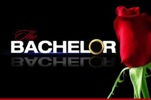20 Of The Funniest “The Bachelor/The Bachelorette” Contestant Jobs