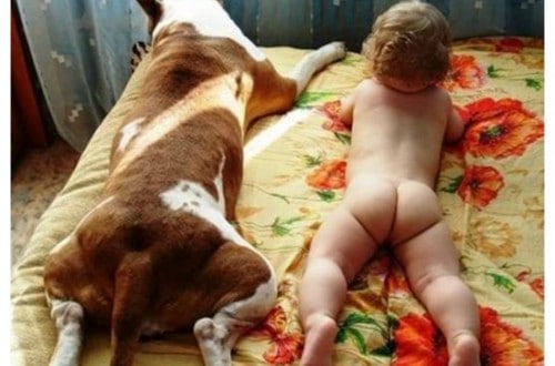 20 Adorable And Funny Photos Of Kids With Animals