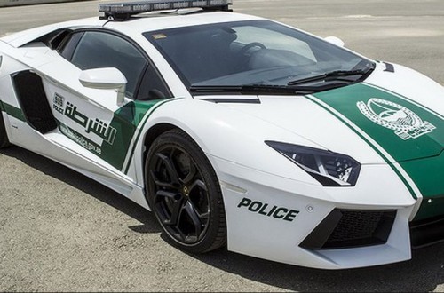 20 Of The Craziest Police Cruisers In The World
