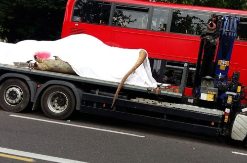 Dead T-Rex Transported Through London