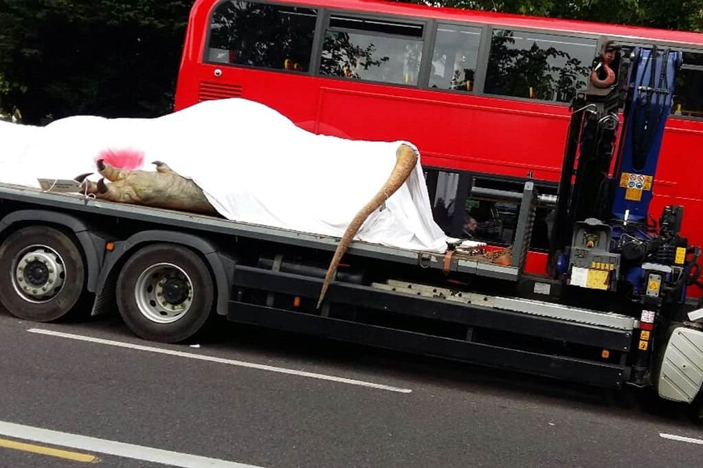 Dead T-Rex Transported Through London