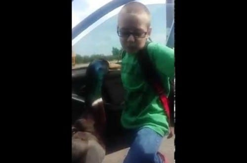 Duck Goes Crazy When Kid Gets Off Bus