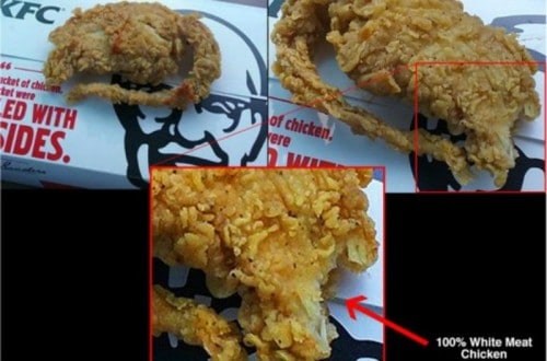 KFC Denies The Authenticity Of The Kentucky Fried Rat