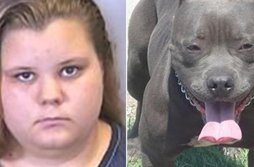 Teenager Admits To Committing Sex Acts With Dog