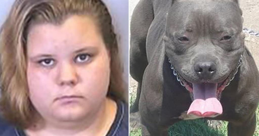 Teenager Admits To Committing Sex Acts With Dog