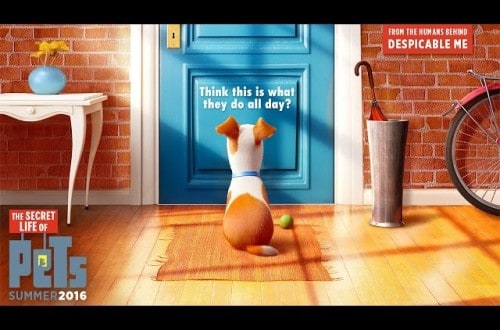 Trailer Released For Hilarious New Movie ‘The Secret Life Of Pets’