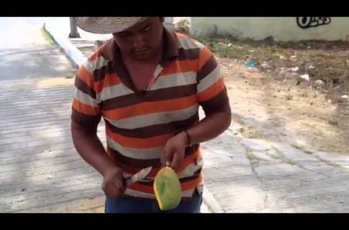 Who Knew Cutting A Mango Could Be This Cool