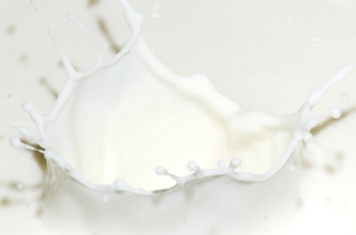 10 Interesting And Fascinating Facts About Milk