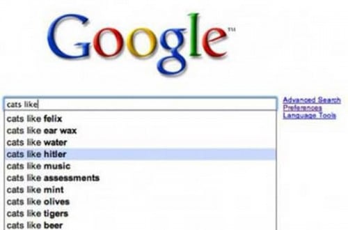20 Of The Funniest Google Search Suggestions Ever