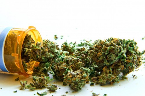 Australia Is Legalizing The Usage Of Medical Marijuana