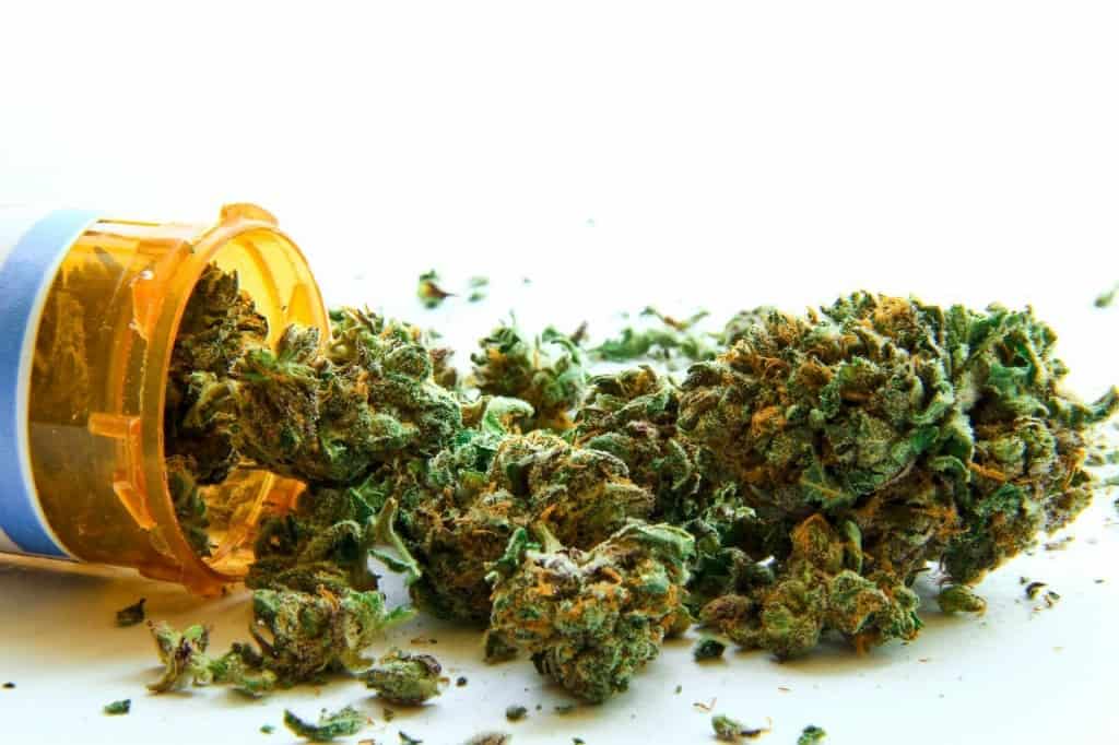 Australia Is Legalizing The Usage Of Medical Marijuana