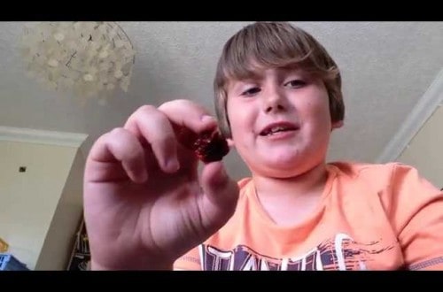 Boy Eats Carolina Reeper Pepper And Instantly Regrets His Decision