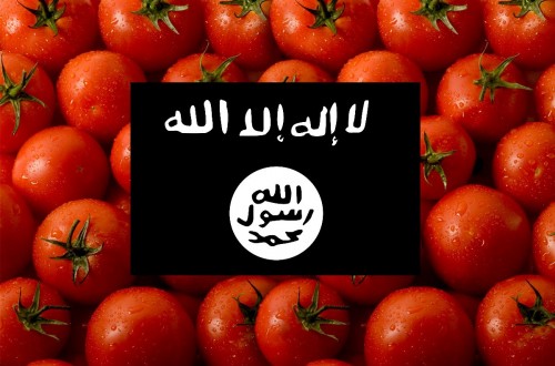 Florida Couple Says ISIS Militants Showed Up at Their Fruit Stand