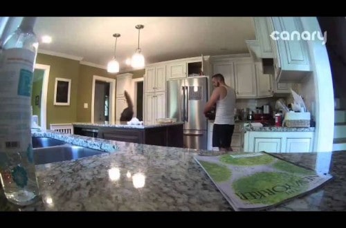Home Security Catches Food Stealing Culprit In Action