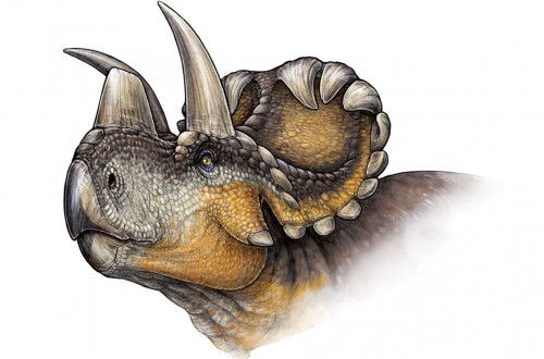 Scientists Uncover a Brand New Horned Dinosaur