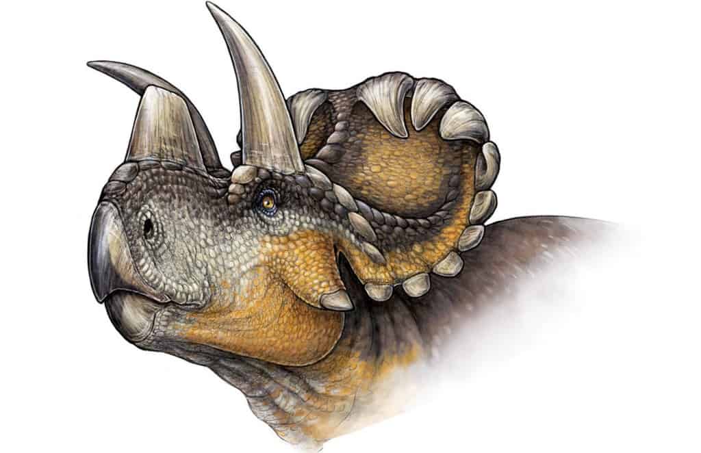 Scientists Uncover a Brand New Horned Dinosaur