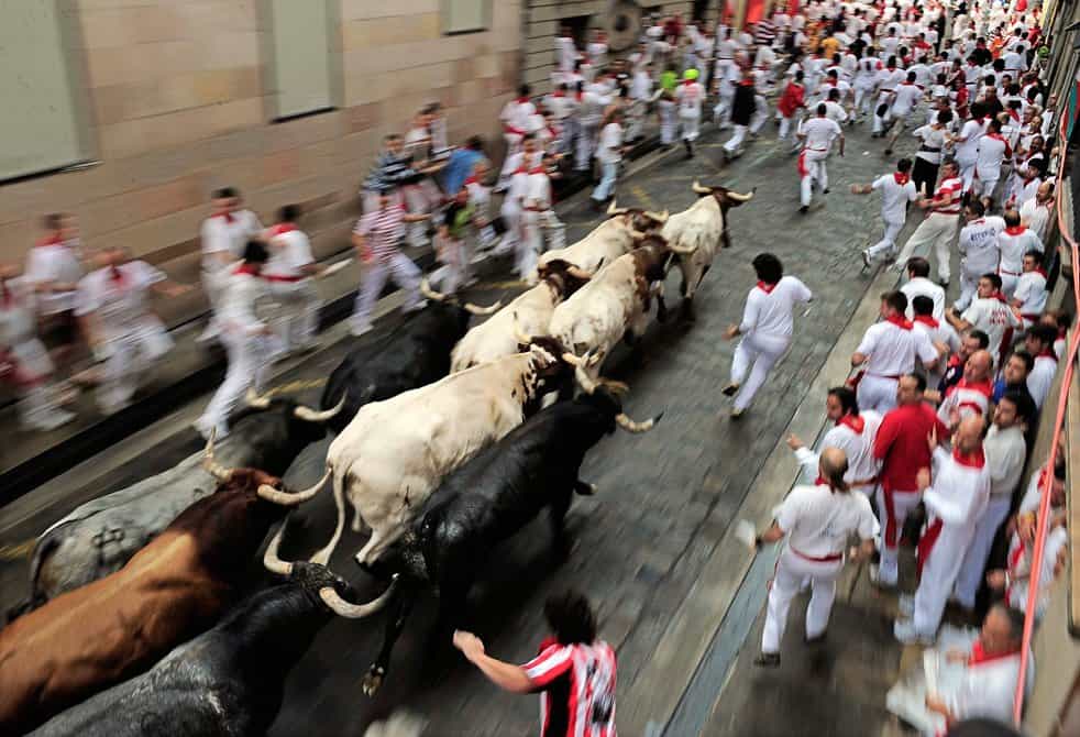 Spanish Town Proposing To Cancel Annual Bullfight For Books Instead
