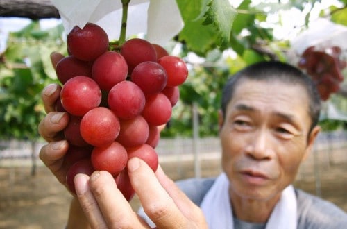 This Bunch Of Grapes Sold For $8,200 At Auction