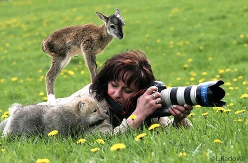 20 Adorable Animals That Want To Be Photographers