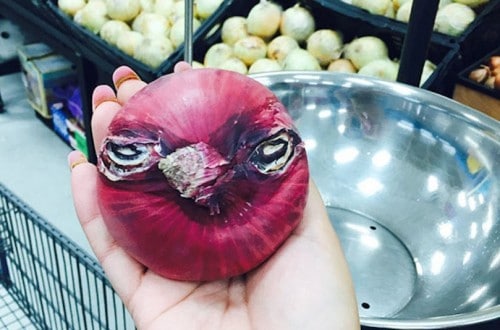 20 Funny Pictures Of Fruits And Vegetables