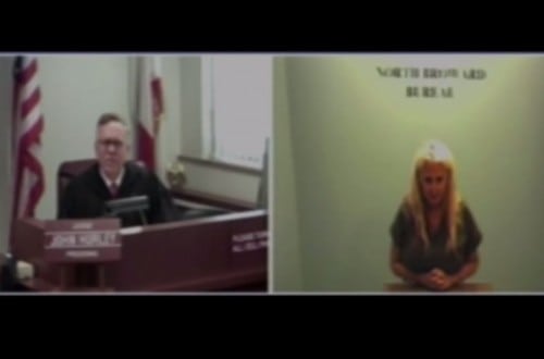 Porn Star Flashes Judge To Show Police Brutality