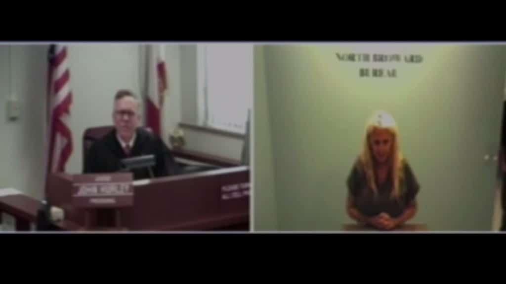 Porn Star Flashes Judge To Show Police Brutality