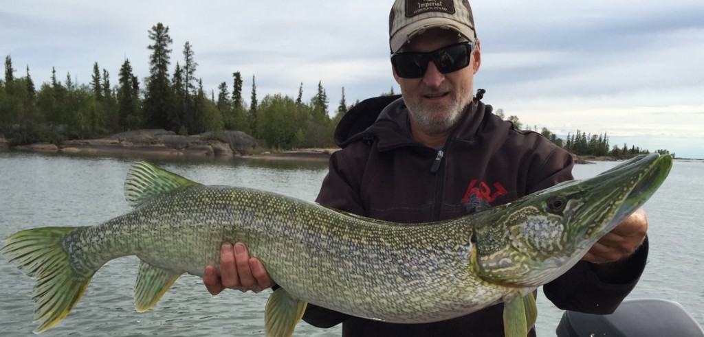 Strange Fluorescent Green Pike Caught In Canadian Lake