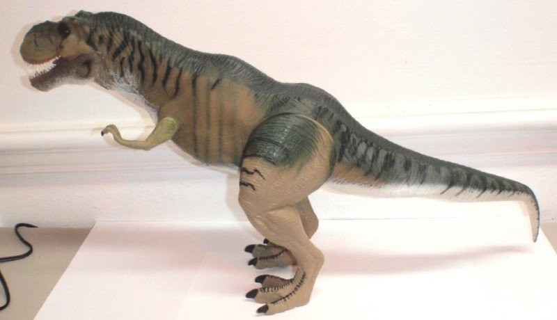 Toy Dinosaur Removed From Woman’s Private Parts