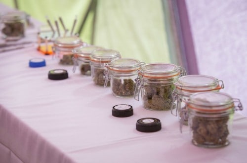 Wedding Couple Decide To Host A Weed Bar