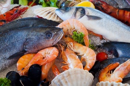 America Wastes 2.3 Billion Pounds Of Seafood Per Year