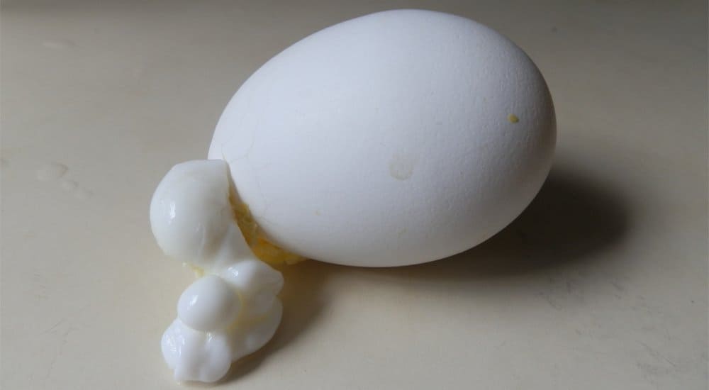 Australian Scientist Discovers How To Unboil An Egg