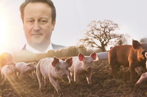 British Prime Minister Allegedly Stuffed His Penis Into Dead Pig’s Mouth