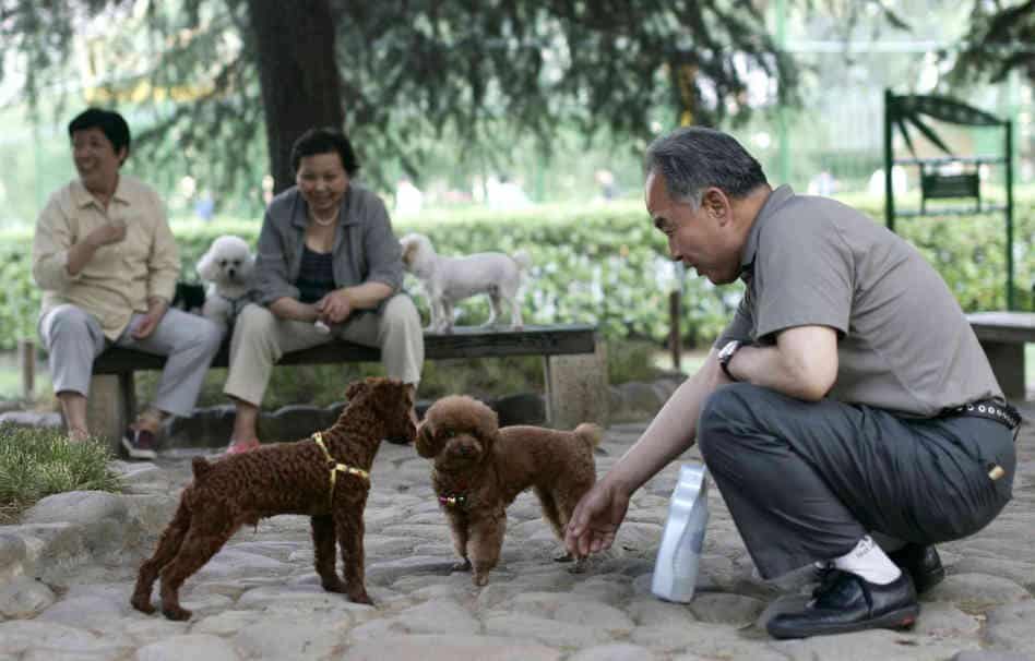Chinese Officials Claim They Will Beat Dogs To Death