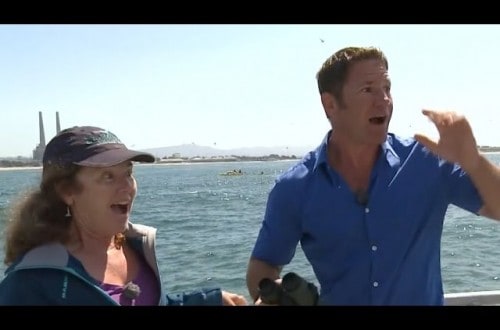 Giant Blue Whale Interrupts Nature Interview